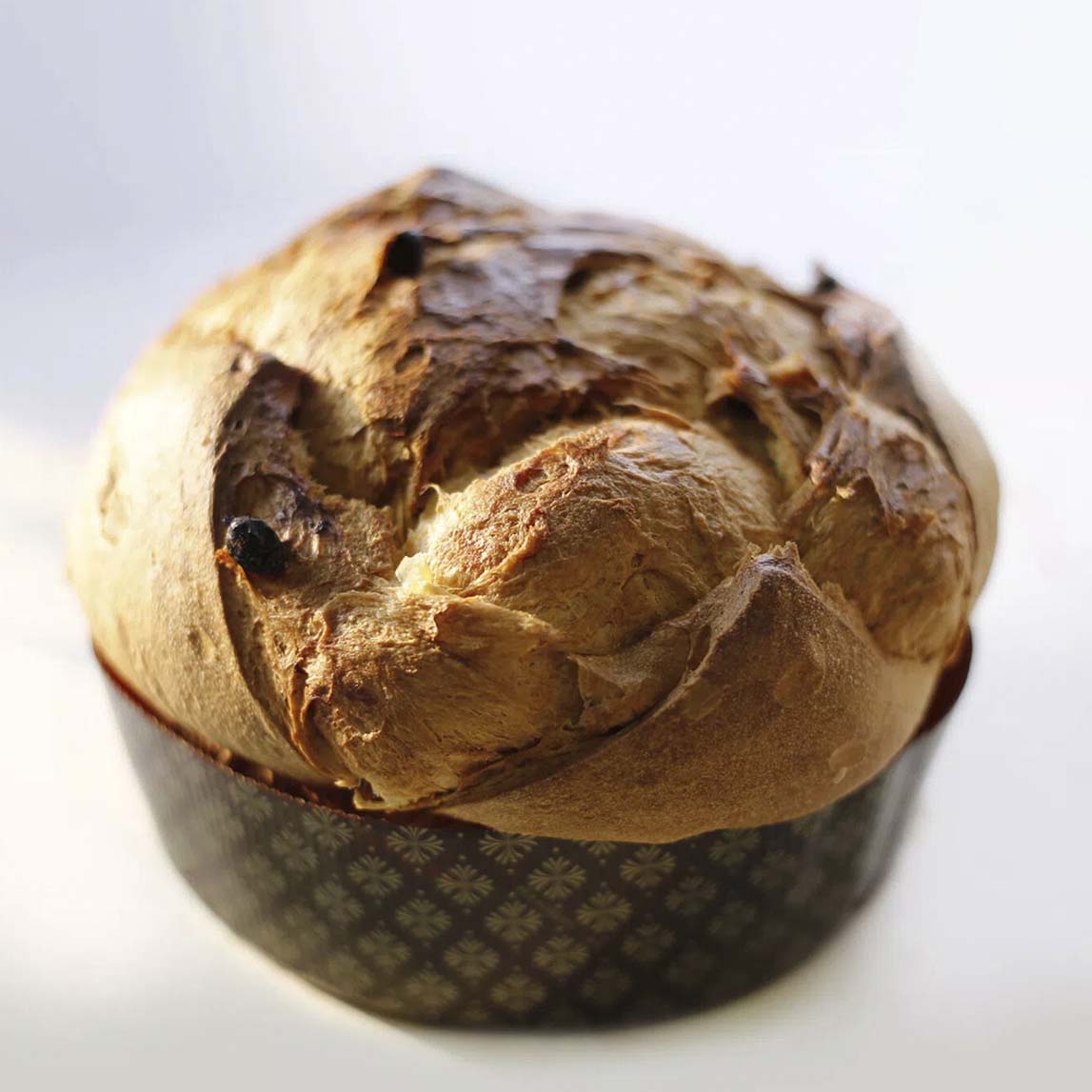 Elabora un Panettone amb Mix One